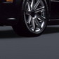 2007 / ������� ��������� � ������� ��������